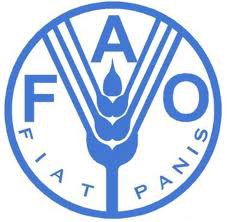 Novo diretor da FAO diz que ‘mundo quer mais do Brasil’